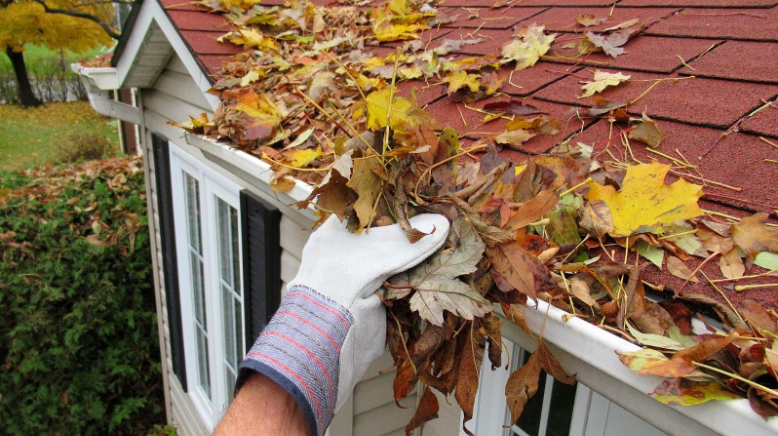 Fall Maintenance on Rental Property